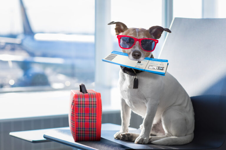 Traveling for the Holidays- Health Insurance Tips